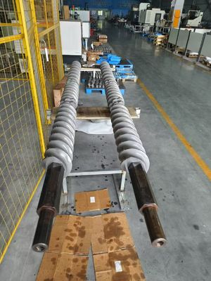 Invloeit innerlijke spleen Twin Screw Extruder Shaft met aanpasbare lengte