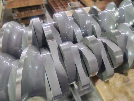 Berstoff Twin Screw Extruder Schroefsegmenten en Cilinder