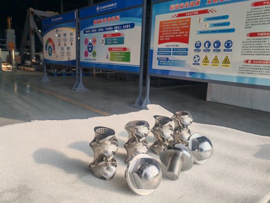 OEM Special Screw Elements Design voor JSW Twin Screw Extruder