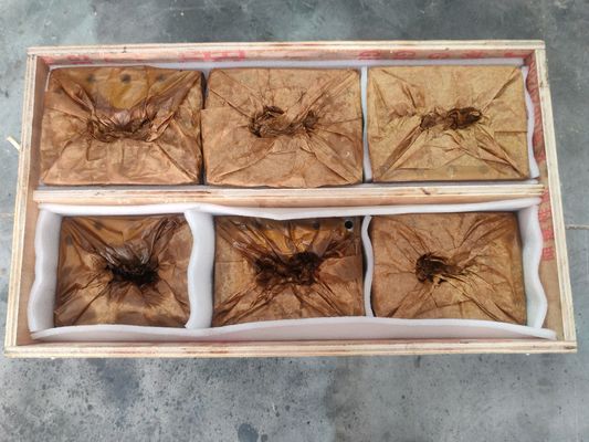 Extruderschroefcilinder voor plastic recyclingmachine