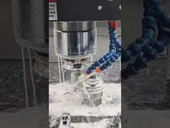 Hoog nauwkeurig geëxtrudeerde schroef en loop Schroefelementsegment voor tweeschroef-extrudermachine