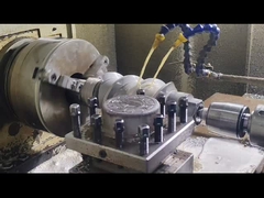 Berstoff Twin Screw Extruder Schroefsegmenten en Cilinder